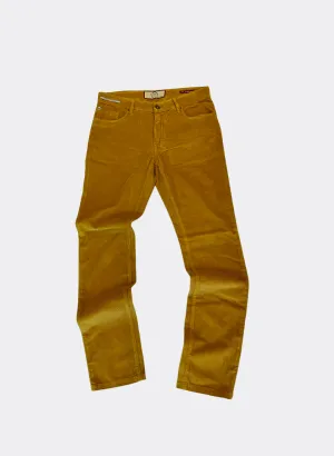 Teleria Zed Cobra Corduroy Pant in Curcuma